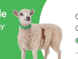 cox store blue diamond Unleash the Power of Translation