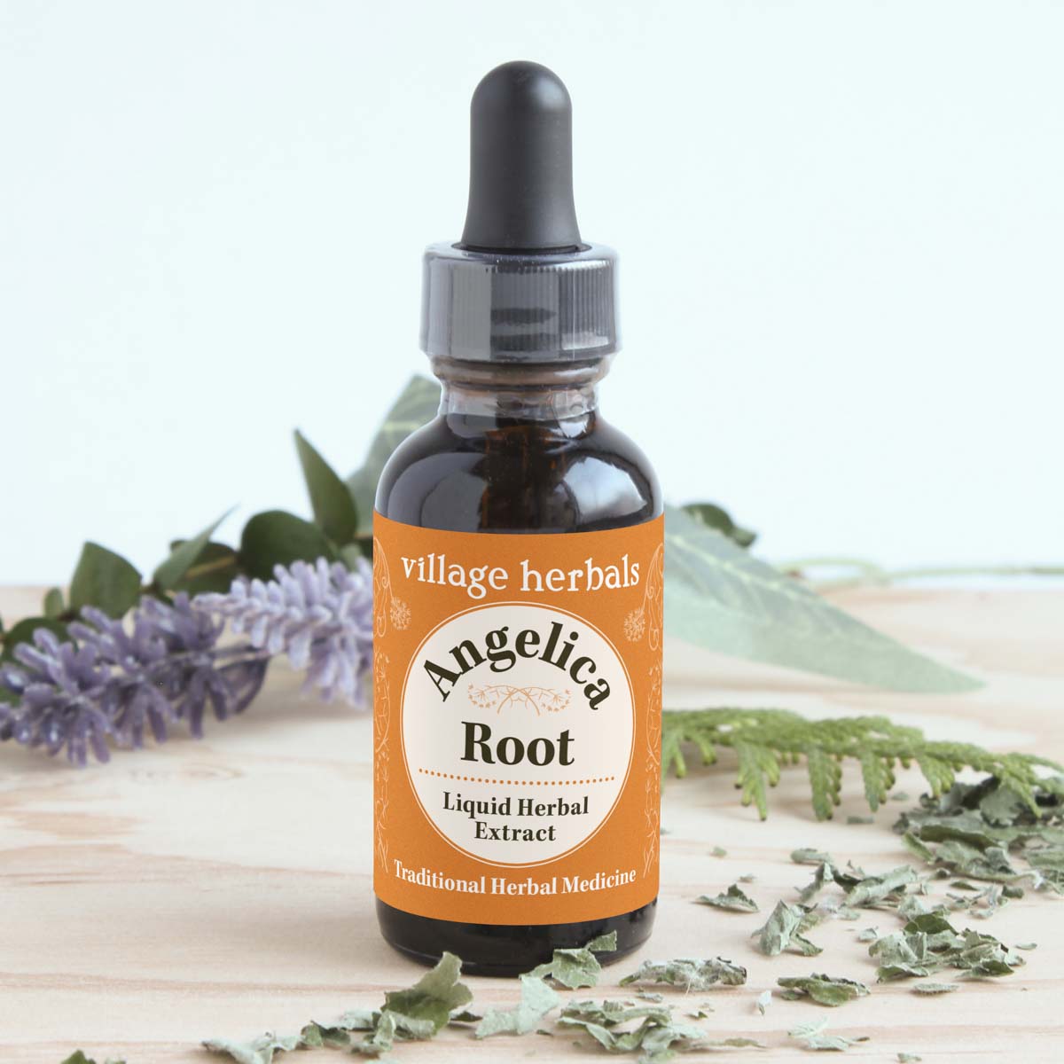 Angelica, Angelica archangelica - Village Herbals