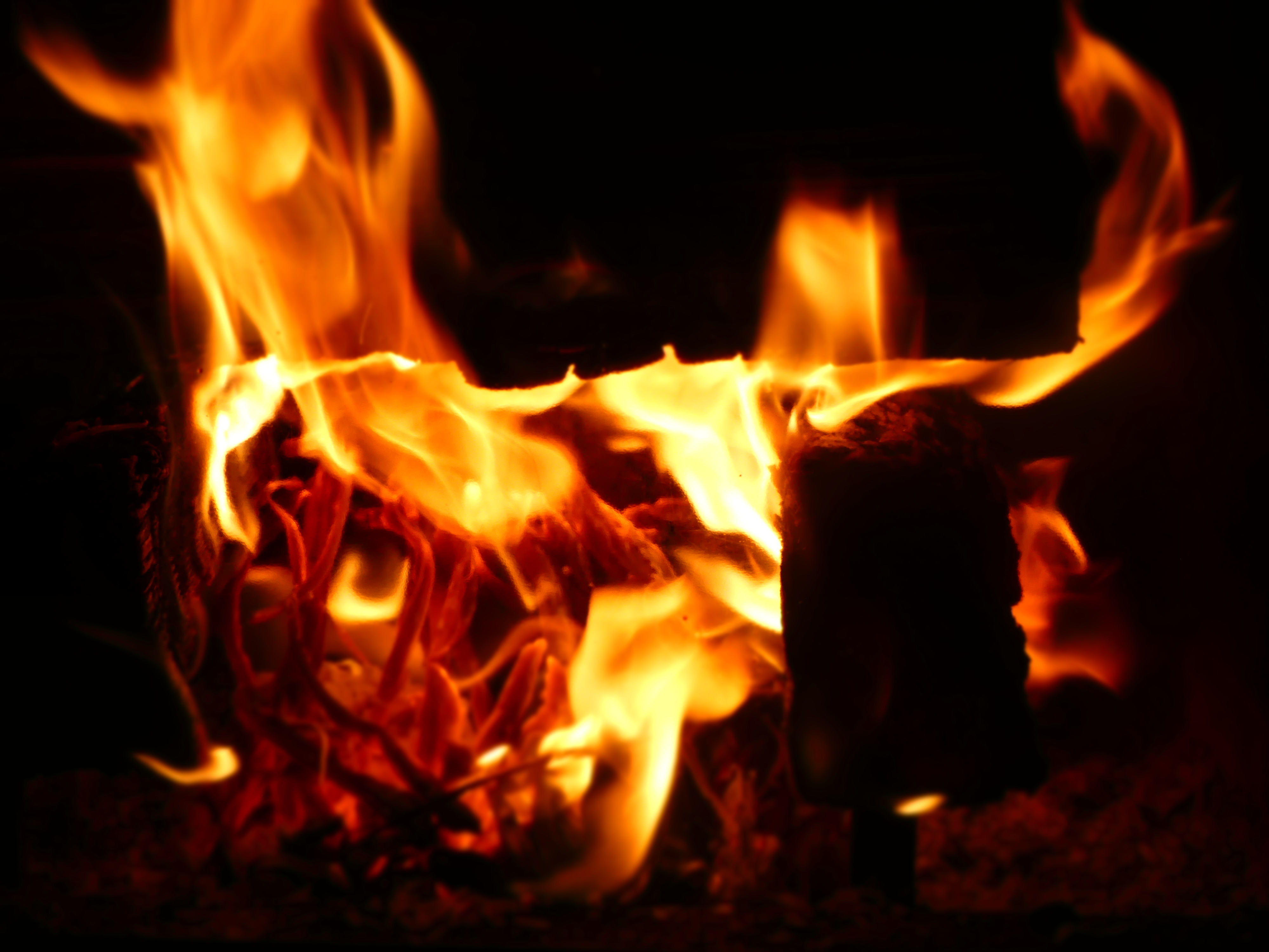 Free Images : fire, flame, heat, bonfire, event, gas, campfire, night ...