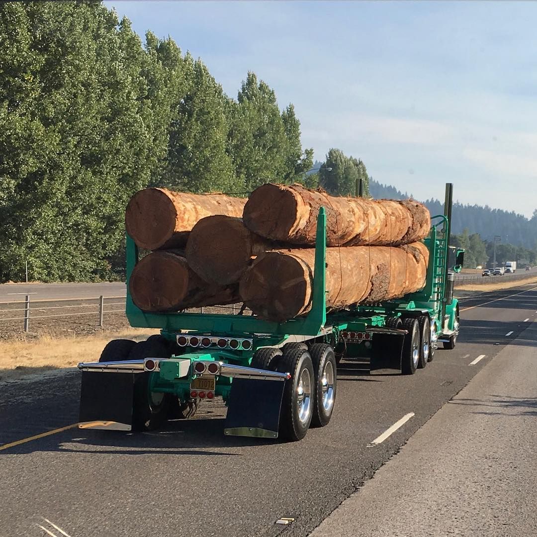 Logging Truck Crash Lawyers - Coluccio Law