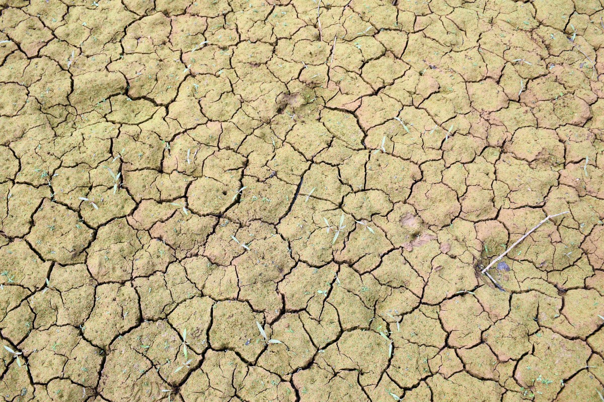 Environmental impacts