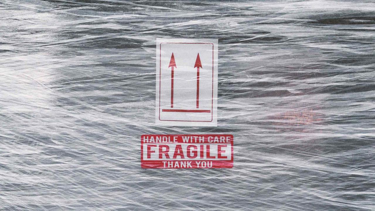 Why You Need Cargo Insurance | Mercury Business Services